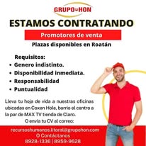 Pieza de comunicación desarrollada para Grupo HON