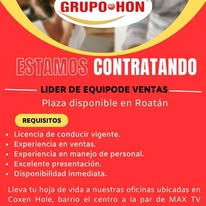 Pieza gráfica corporativa de Grupo HON